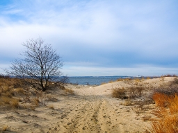 Beach at Sandy Hook